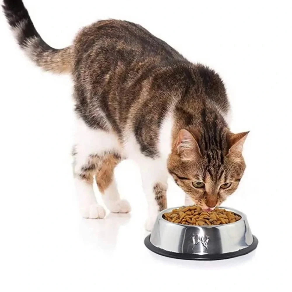 Cat Bowls